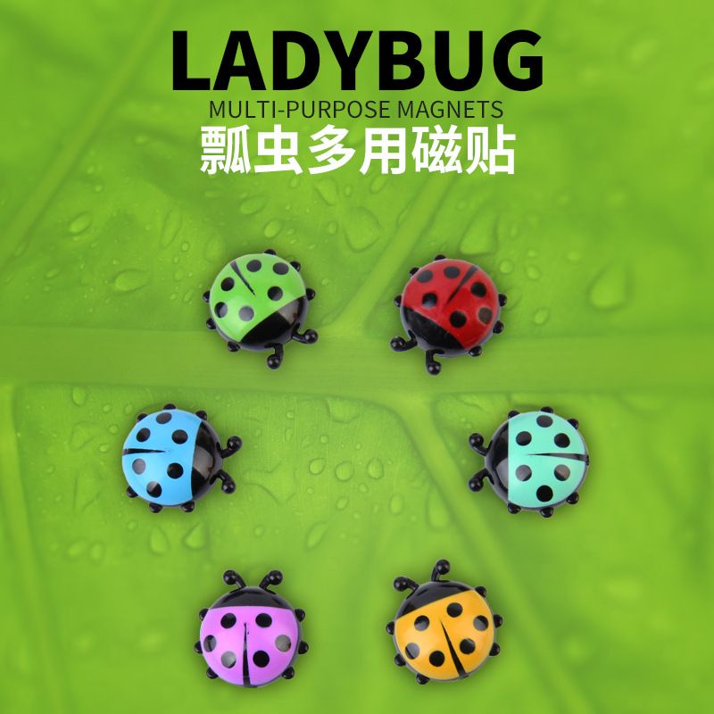 Wholesale Plastic Fridge Magnet, Cartoon for Photo and Note Display